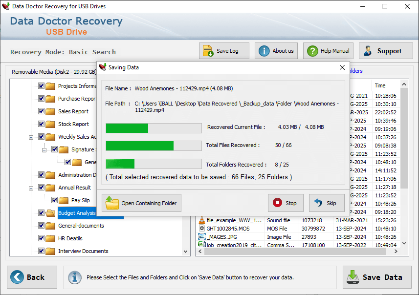 MAC USB Data Recovery Software